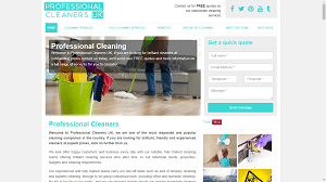 Hire Professional Cleaners